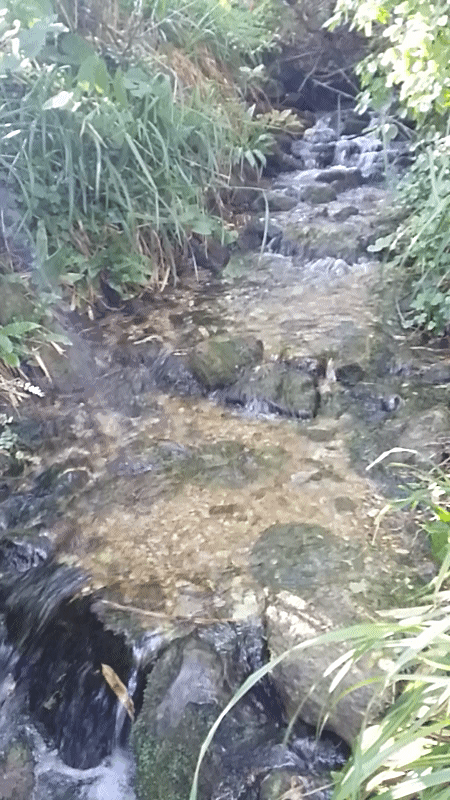 The Spring at
        Newchurch